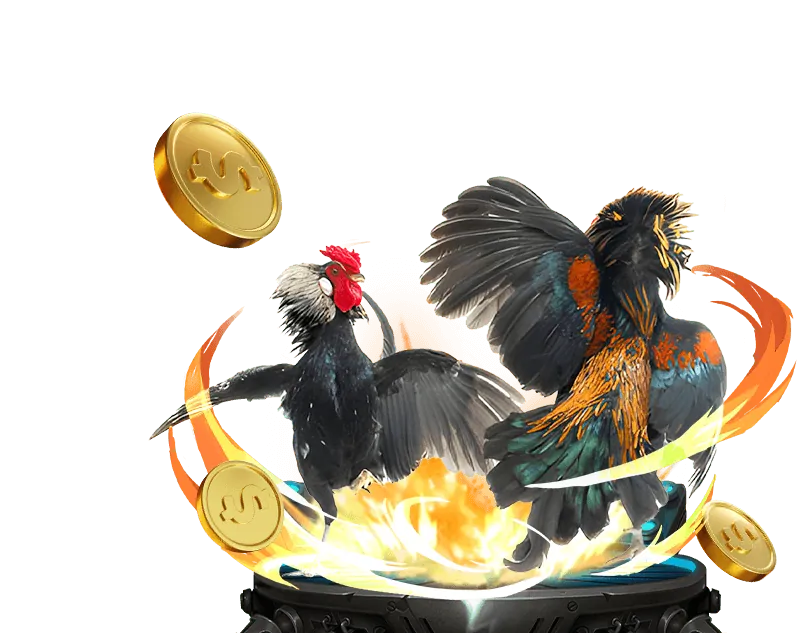 Hình ảnh casino trực tuyến V6BET